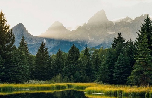 Buffalo Cabin | Lodge ∙ 1 bedroom ∙ 3 guests