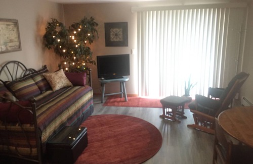 Helena Condo | Quiet place close to downtown/Capitol with trails nearby-charming neighborhood