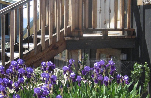 Stevensville Other | Raven's Nest vacation home