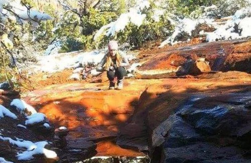 West Sedona House | Red Rocks! Stroll to trails! 1 Bd in W. Sedona!