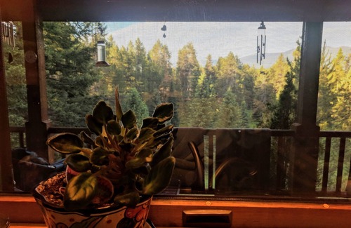 Coram House | Redneck Kabin. Enjoy the deck and hot tub after day in the Park