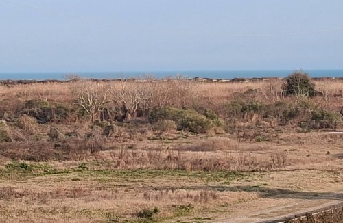 Crystal Beach RV Rental | 1 or 2 Wonderful private RV spots,full hookups. 5 min walk to beach on Bolivar