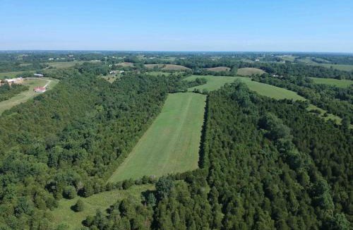 Williamstown House | 100 Acre Relaxing Retreat Near Ark - The Cottage