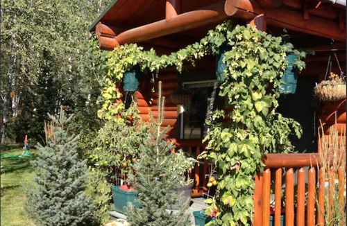 Lazy Acres Cabin | 139 m² Cabin ∙ 3 bedrooms ∙ 6 guests