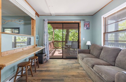 Diamond City Cabin | 1bed/1bath cabin with beautiful views of Bull Shoals Lake.