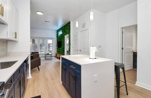 Cherry Apartment | 1BR in Charlotte with Pool, Gym