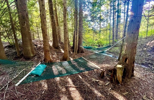 Blanchard Cabin | 2 Adjacent Cabins near Silverwood w/Vintage Ice Cream Parlor + Movie Theater