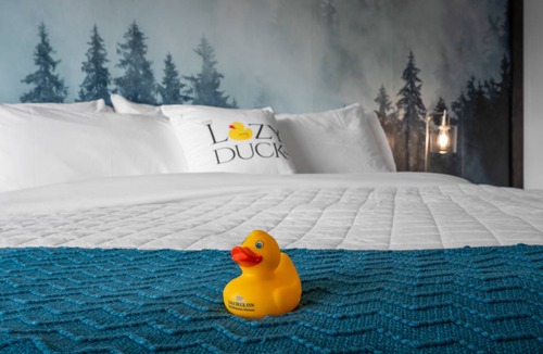 West Yellowstone Hotel | 23 m² Hotel ∙ 1 bedroom ∙ 2 guests