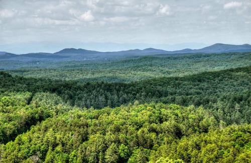 Raccoon Ridge Cabin | 234 m² Cabin ∙ 3 bedrooms ∙ 6 guests