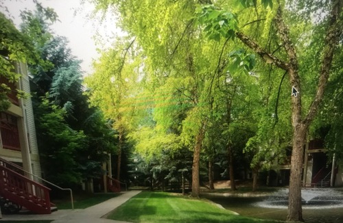 Franklin - Randolph Apartment | 3 BR Fabulous Group/Family Getaway - Fully Furnished - Central Boise - E108