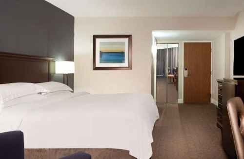 Nassau Bay Hotel | 3 Cozy Rooms to Unwind in a Quiet Room with Beautiful Views