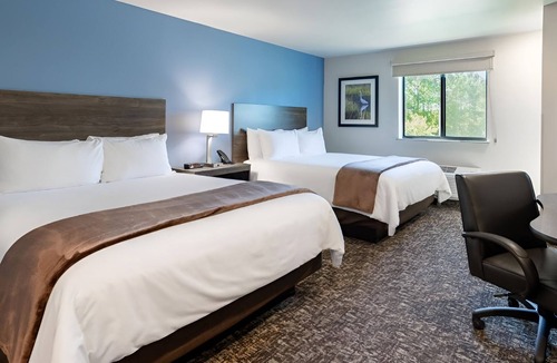 Westgate Hotel | 3 Jacksonville Rooms with Full Size Kitchen, Ideal for Extended Stays with Pets