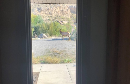 Gardiner House | 4 Bedroom 3 Bath Home At The Northern Entrance Of Yellowstone National Park