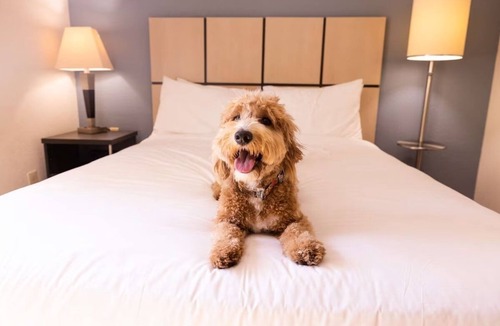 Braintree Hotel | 4 Units | Spacious Boston Suburb Stay | Family Getaway Near Aquarium & Fenway