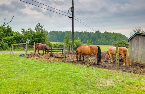Cowanesque House | 41 m² House ∙ 2 bedrooms ∙ 6 guests