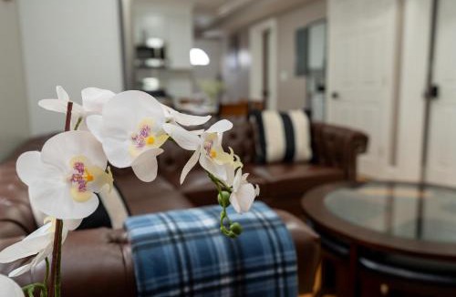 Codman Square Apartment | 558-1 3BR Boston - Modern Nest near Franklin Park