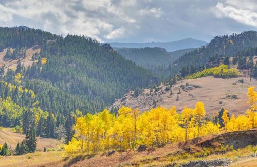 Dayton House | 7 Mi to Bighorn Natl Forest Dog-Friendly Home