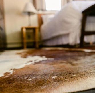 Cody House | A Wilderness Retreat - Your Gateway to Yellowstone