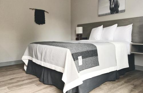 Hailey Hotel | Airport Inn