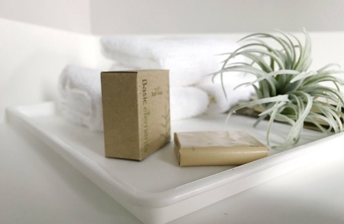 Hailey Hotel | Airport Inn