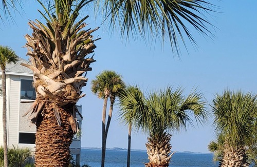 Beachwalk House | Aloha & views- steps to the beach AND Golf Cart!