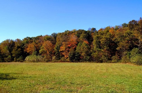 McArthur Other | Altenbrauch Farm - Camping in the Hocking Hills