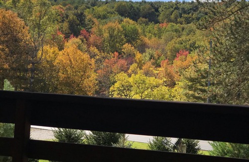 Loudonville House | AN OWL and the MOON. Get-Away in Mohican State Park. Location perfect!