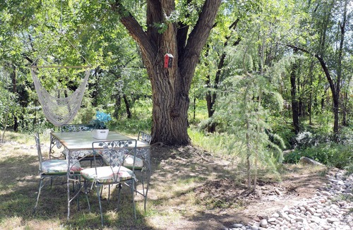 Prescott Cabin | Authentic Log Cabin, 1.25 Acres, Seasonal Creek, Fireplace! 1.6 Miles to Square