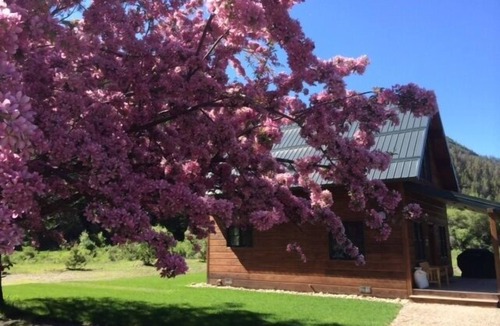Philipsburg Cabin | Beautiful Cabin On The Banks Of Rock Creek - Willow Cabin