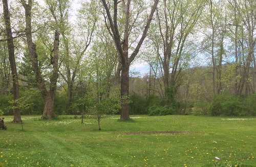 Mill Hall Cottage | Beautiful Creek Side Home Along Bald Eagle Creek, Mill Hall, PA
