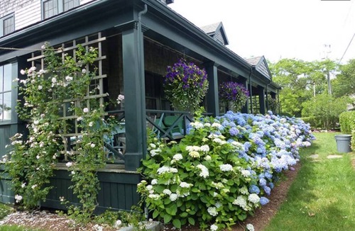 Siasconset House | Beautiful House-Oceanview AVAIL: SEPTEMBER 2025