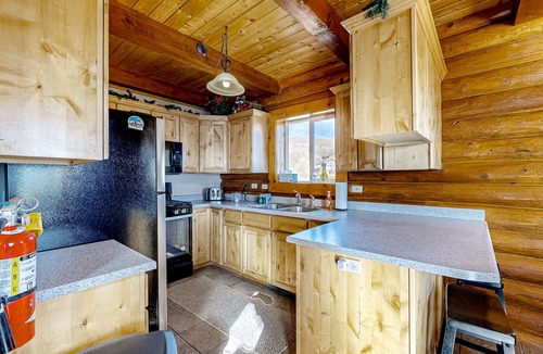Harbor Village Cabin | Beautiful log cabin with lake views, wraparound deck, & foosball