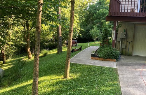 Union House | Beautiful lower level of house in nature with wildlife all around.