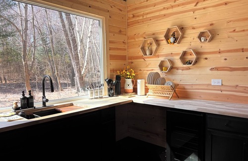 Lapeer Cabin | Beehive shipping container cabin surrounded by nature and a pond