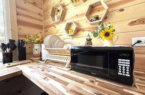 Lapeer Cabin | Beehive shipping container cabin surrounded by nature and a pond