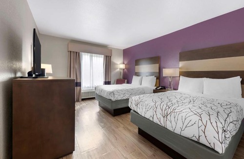 Buda Hotel | Best Western Plus Buda Austin Inn & Suites