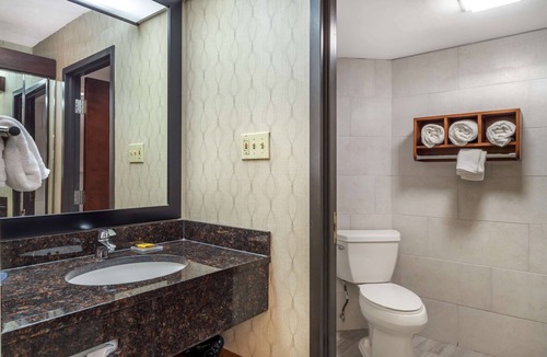 Energy Corridor Hotel | Best Western Plus Houston Energy Corridor