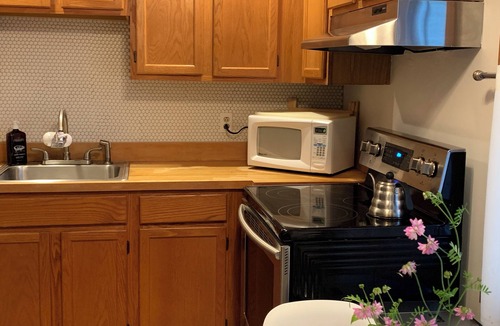 Windham Condo | Black Dome - a 2B, 2B Condo 5 min from Windham, NY, and Windham Mt.