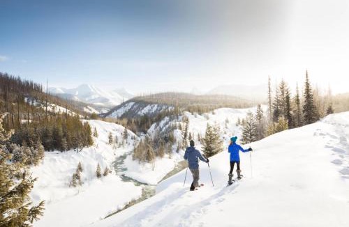 Kalispell Apartment | Blacktail Mountain At Switchback Suites