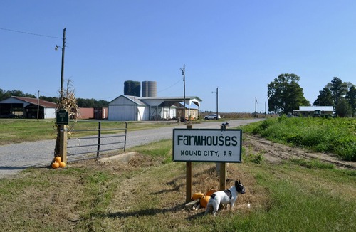 Marion House | “Bo” renovated farmhouse, 7 min to Mem. ❤️1 pet free 2nd pet considered for fee