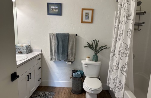 North End Apartment | Brand New Pet Friendly Efficient Apt Close to Downtown and Greenbelt