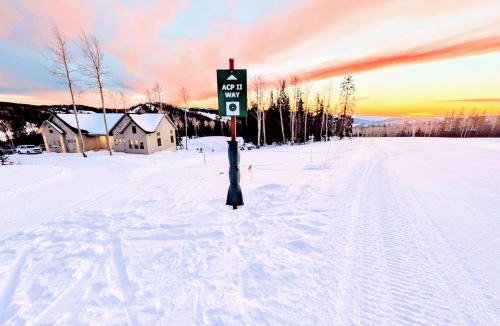 Beaver Villa | BRAND NEW World Adventure at Aspen Crest