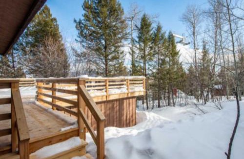 Teton Village House | Bray House - Ski-in Ski-out family home