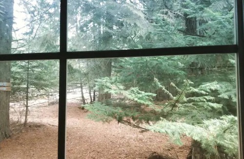 Sandpoint Cabin | Cabin in the Cedars.Close to Lake,Town & Mountain