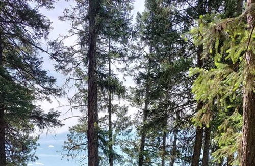 Olney RV Rental | Campsite #2 with Lake Access