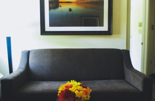 Alabaster Hotel | Candlewood Suites Alabaster by IHG
