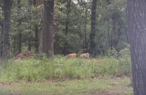 Lebanon Bed & Breakfast | Cedar Grove Inn