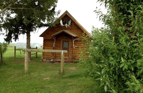 Pony House | Charming Log Cabin with Mountain Views near Trails in Pony, Montana
