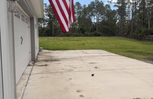 Ormond Beach Apartment | Charming modern country guesthouse in Ormond Beach