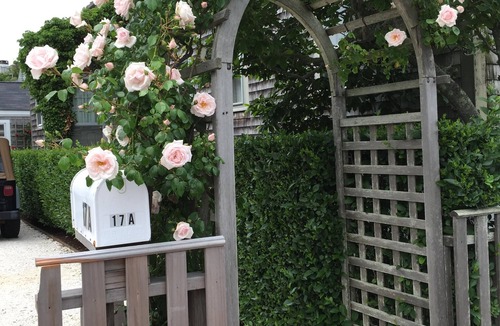 Nantucket Town Cottage | Charming one bedroom cottage, close to lower Main Street and Handlebar Cafe.
